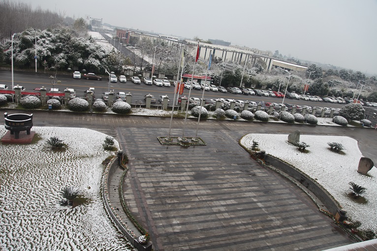 一場雪，才知道您有多美！